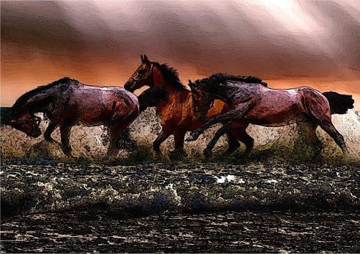 Horses Creative Art